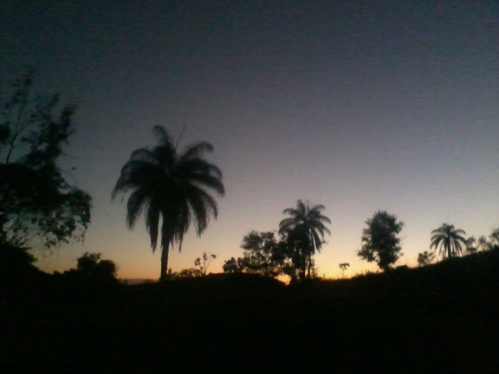 Imagem 900 - Copia.jpg